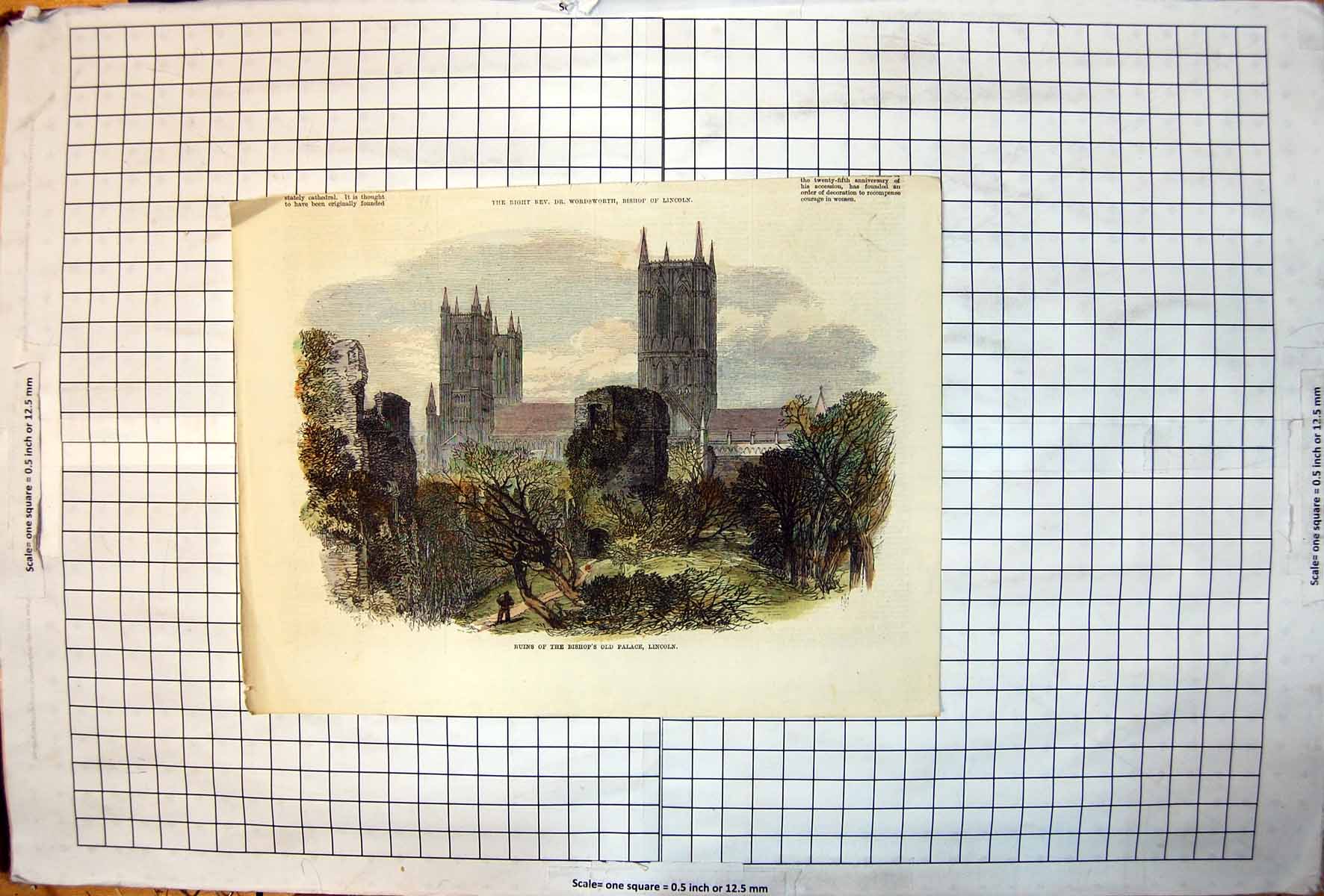 Old Antique Print Ruins Bishops Palace Lincoln Walls Ivy Trees Cathedral