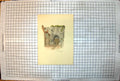 Old Print The Castle Gate Jasper Salwey Wooden Inset Stone Arch Buildings