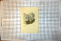 Old Antique Print The Norman Clerestory South Transept Gordon Home Trees