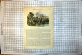 Antique Print Pitville Columned Building Lakeside Promenaders Trees Avenue