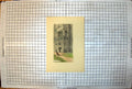Antique Old Print Bigod'S Tower Castle Courtyard EVCole Cannon Building Grass
