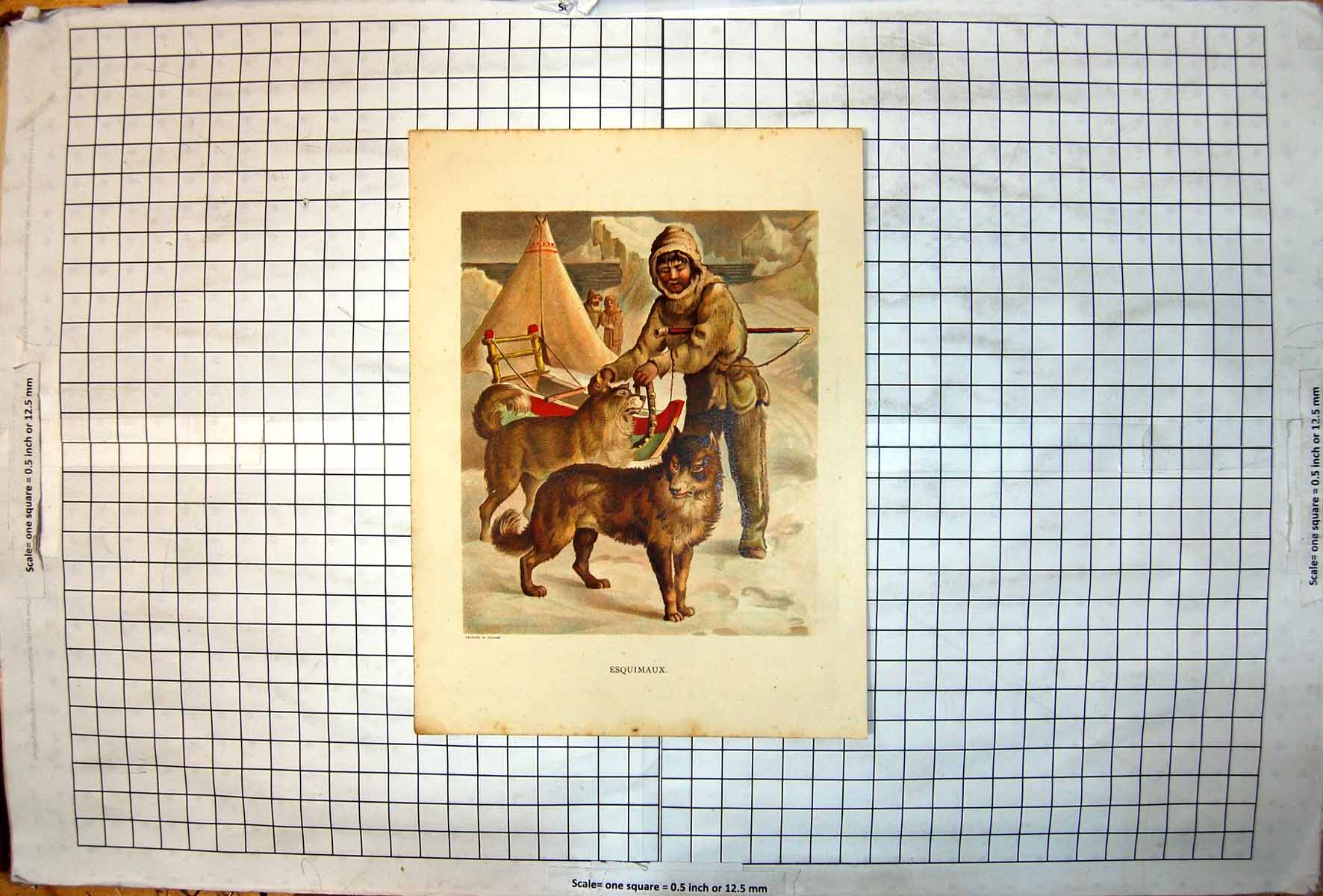 Antique Print Esquimaux Eskimo Huskies Sled Snow Skin Shelter Ice Sea 1891 19th