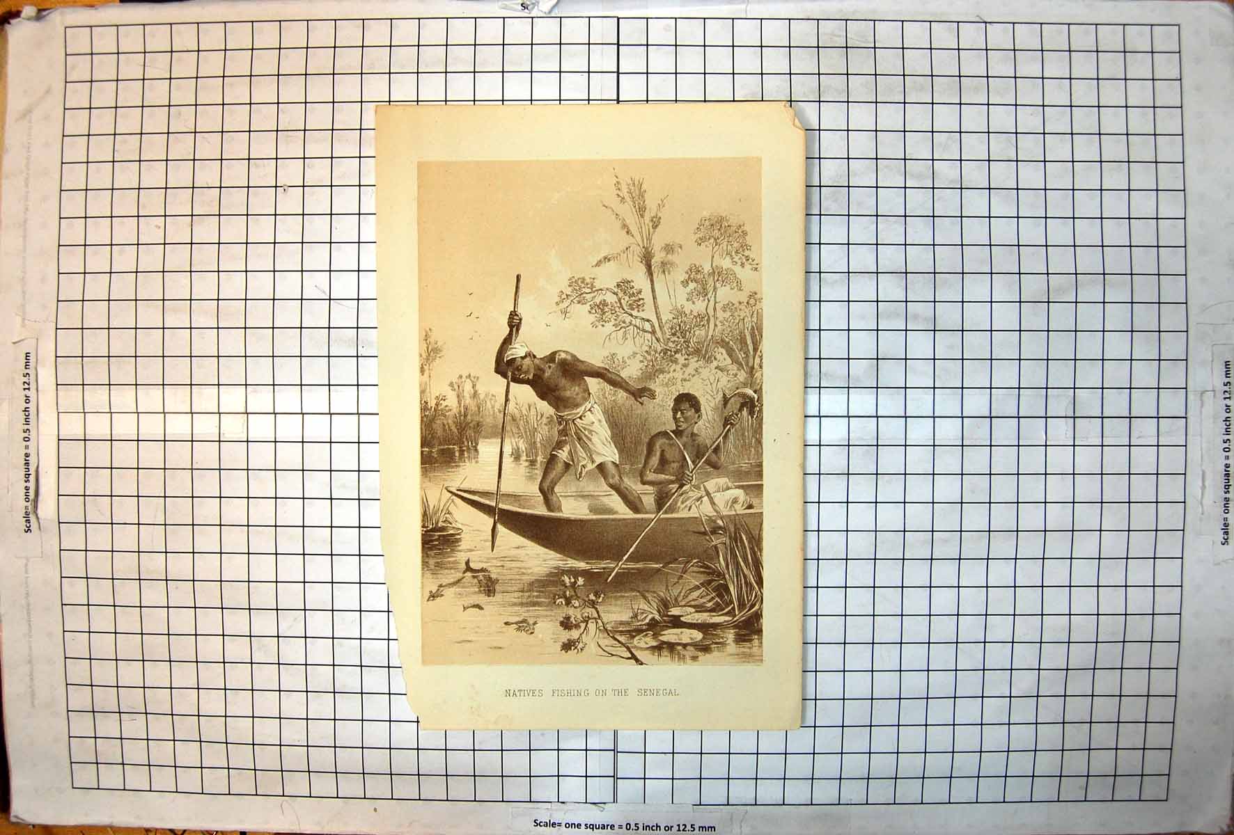 Antique Print Natives Fishing On Senegal River Spears Standing Boat Seated
