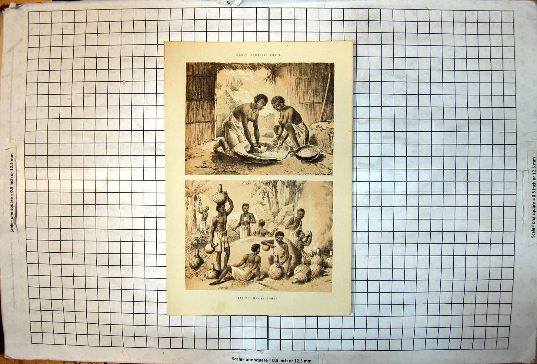 Old Print African Women Pounding Grain Natives Making Pombe Drink Gourds