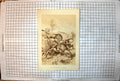 Antique Old Print Lions Attacking Buffalo Three Males Grassland Shrub Trees