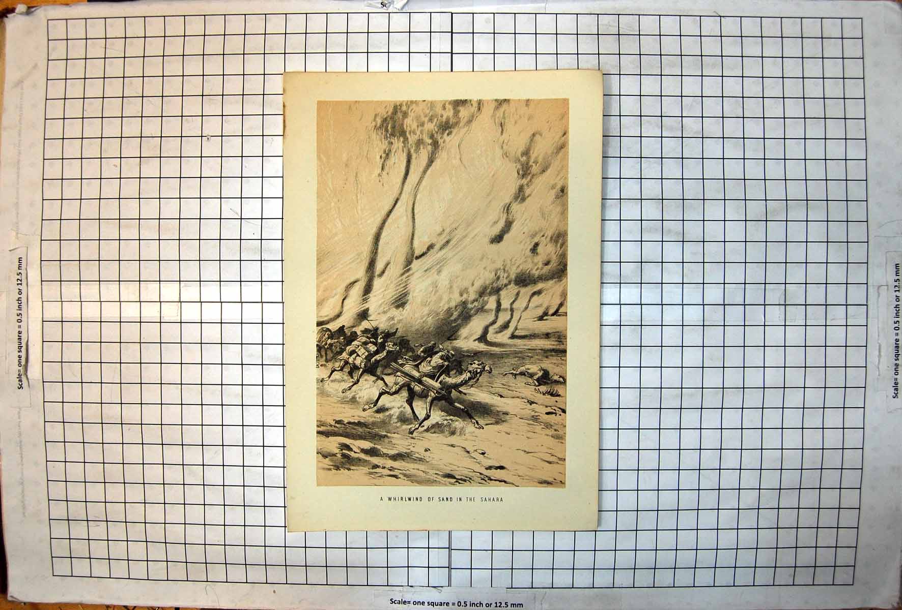 Old Antique Print Whirlwind Sand Sahara Camels Riders Fleeing For Safety