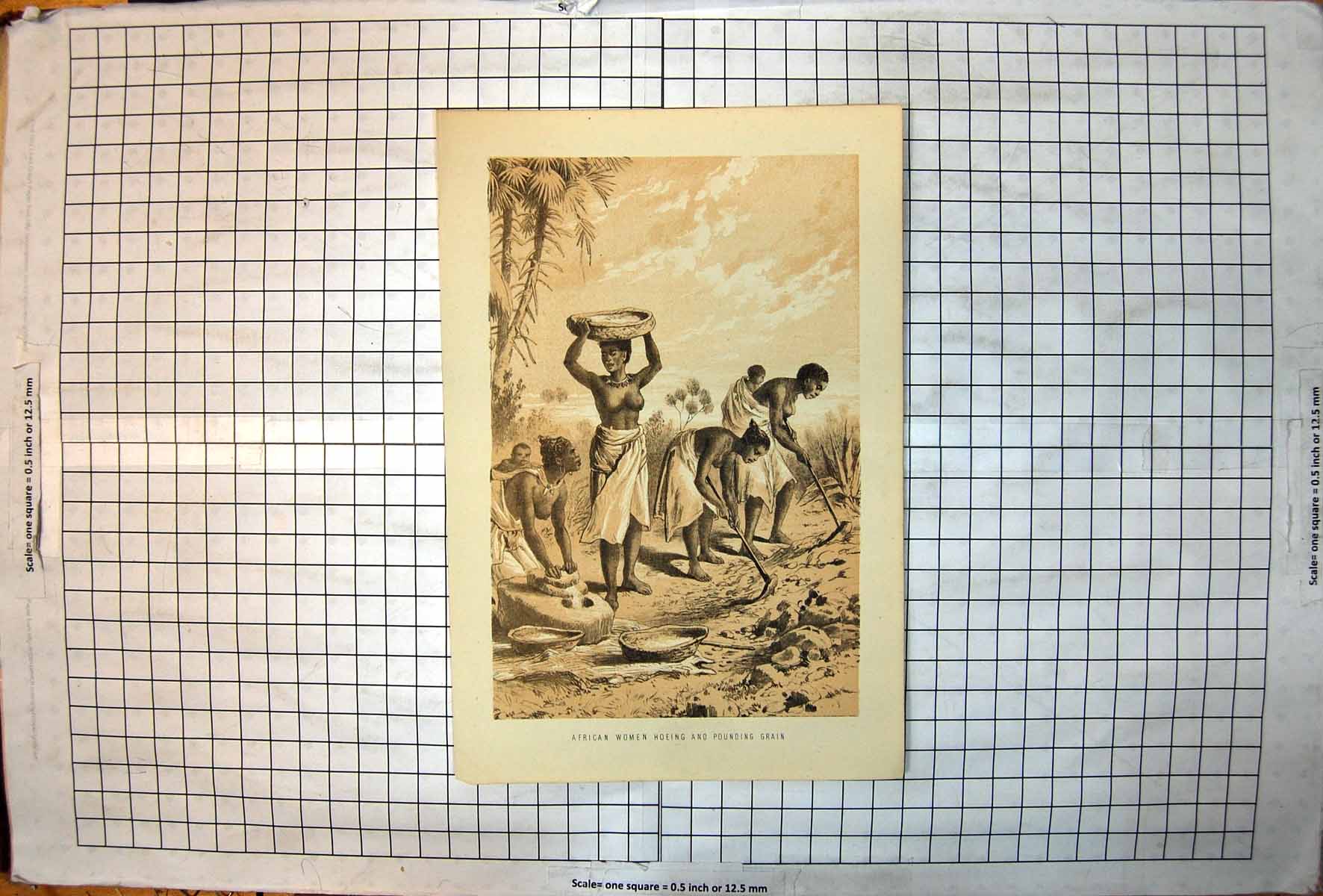 Antique Old Print African Women Hoeing And Pounding Grain Baskets Grind Stone
