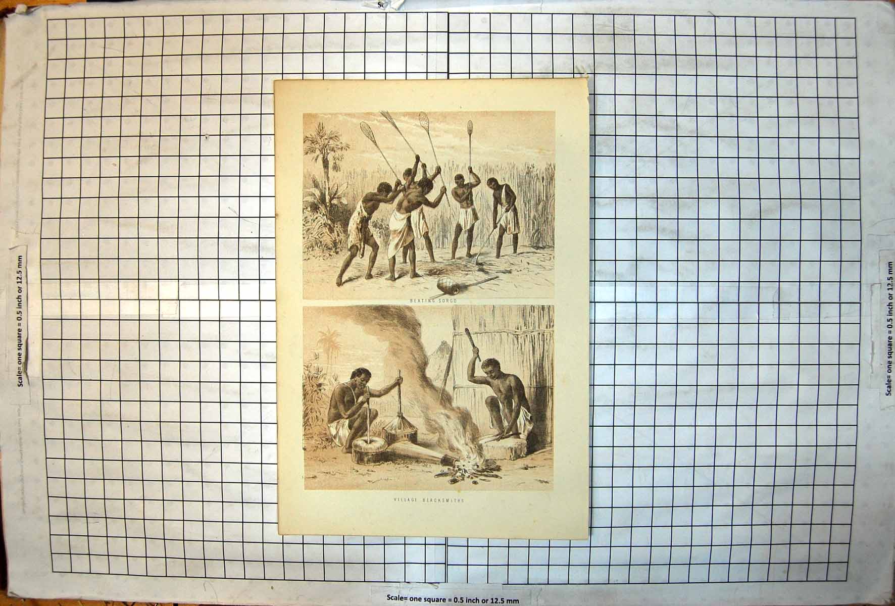 Antique Old Print Beating Sorgo Beside Grass Field Village Blacksmiths Africa