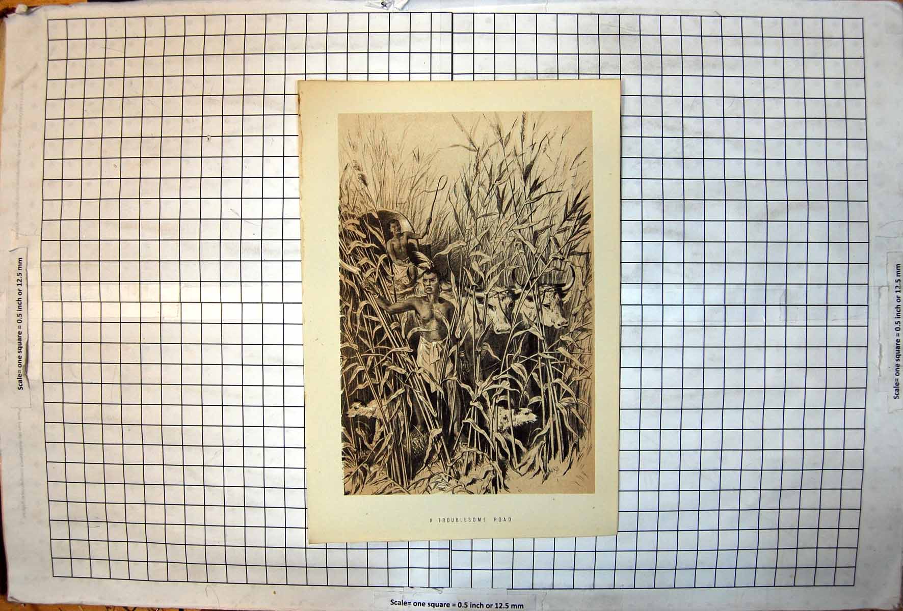 Antique Old Print Troublesome Road Leading Ox Wagon Through Tall Grasses Dog