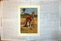 Old Print Red Kangaroo Colour Study Family Group Beyond Trees Grass C1920 20th