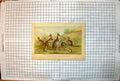 Old Print Kangaroos Lord Derby Aroe Parry Woolly Brush Rabbit Eared 1879 19th