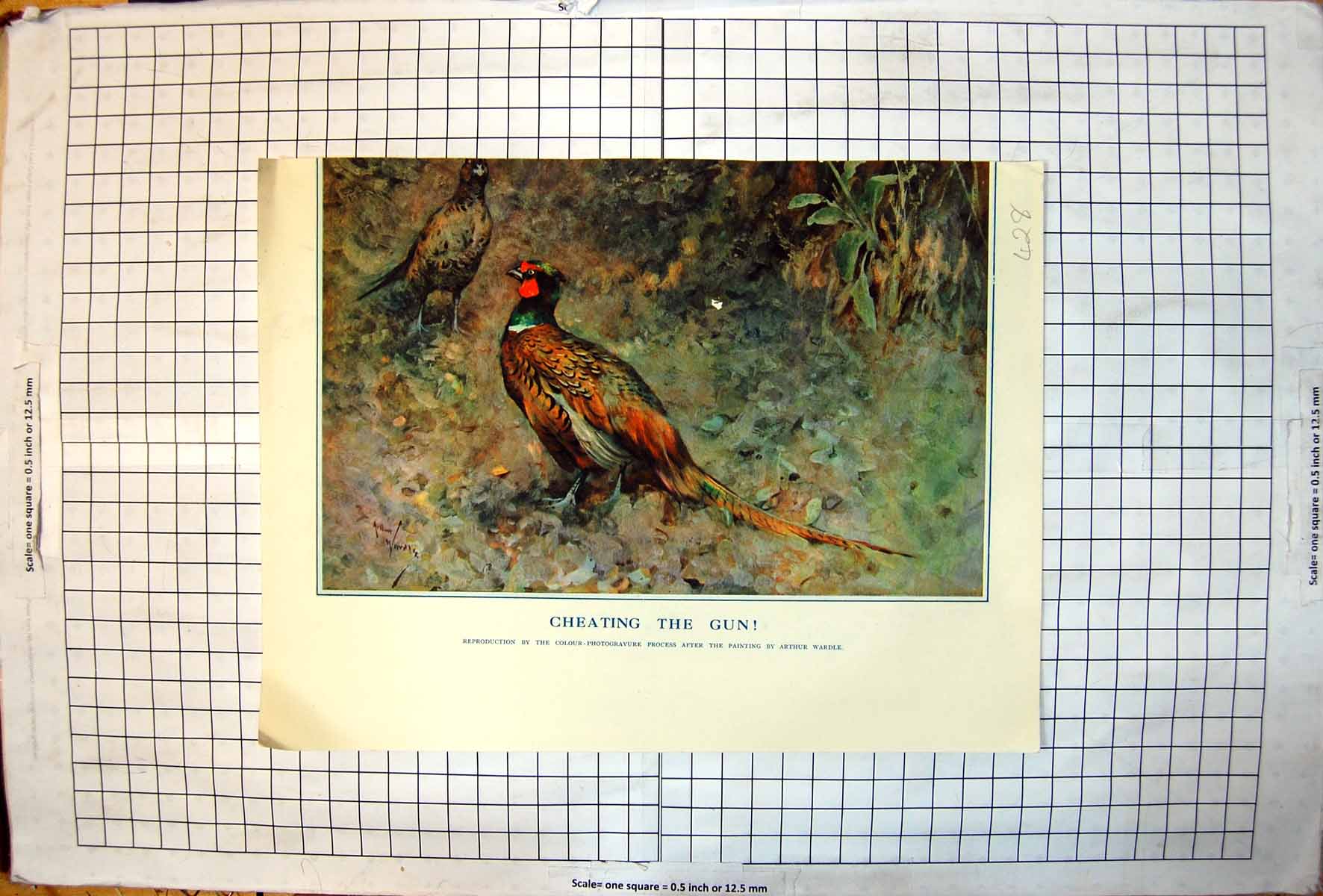 Antique Old Print Cock Hen Pheasant Hunting Scene Horses Hounds Men Ti Lloyd