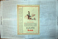 Old Adverts Kodak Camera Girl Hill Pears' Solid Brilliantine Hair Tonic