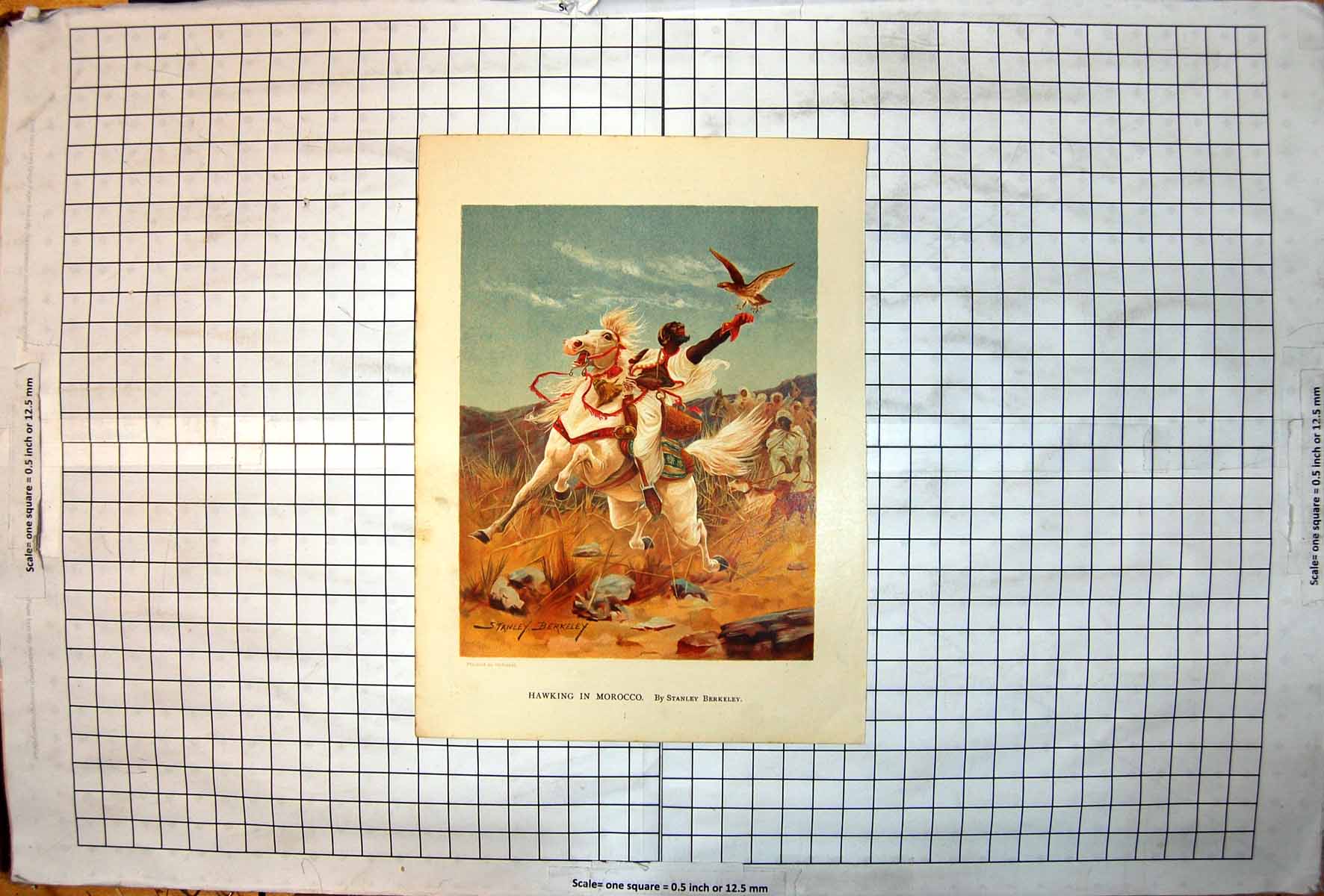 Antique Print Hawking In Morocco Stanley Berkeley Man Horseback Glove Dogs