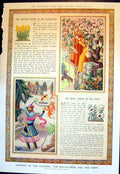 Old Scottish Legend Wallflower Indian Poppy Stitch Time Webster 1936 20th