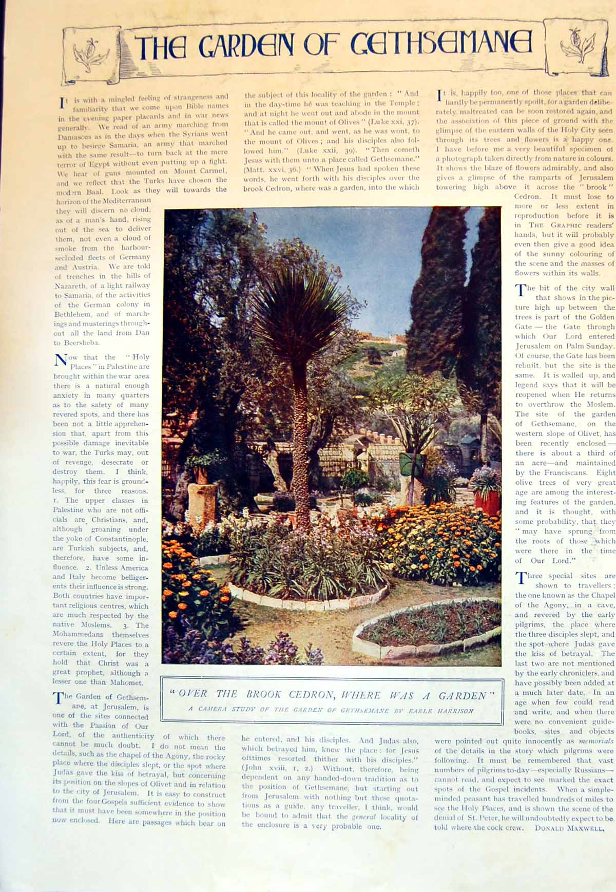 Antique Old Print Garden Gethsemane E Harrison Austrian Petroleum Wells 1915