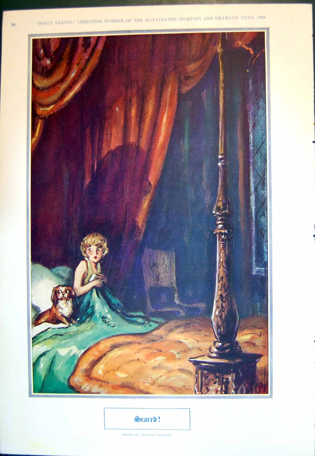 Old Scared Webster Murray Girl Dog Bed Mr Pickwick Friends Harris 193 20th