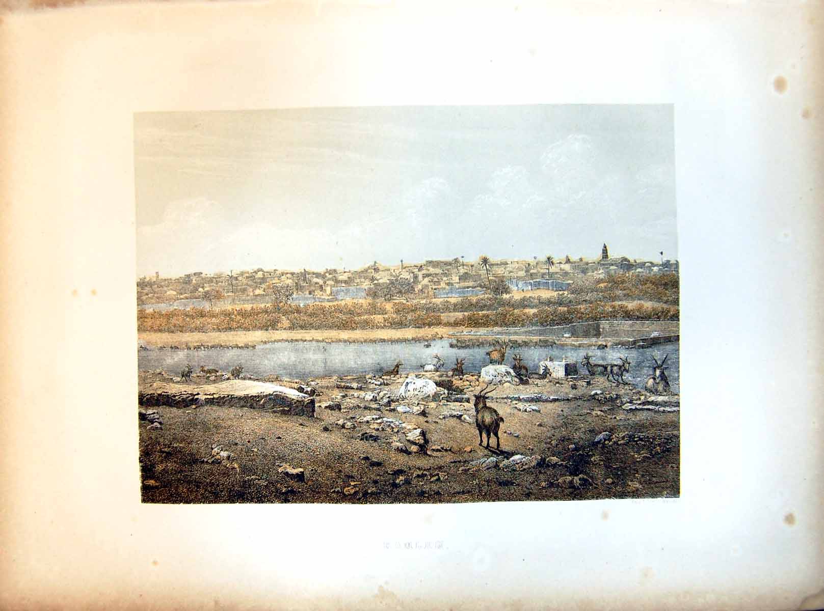 Antique Old Print Ramleh City View Across River Palm Trees Goats Rough Ground