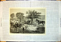 Antique Old Print Lime Cutting India Siers Horseback Swords Lime Stick 1885