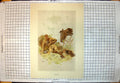 Old Antique Print Wounded J C 1900 Sier Lies Wounded Chest Horse Looks On 20th