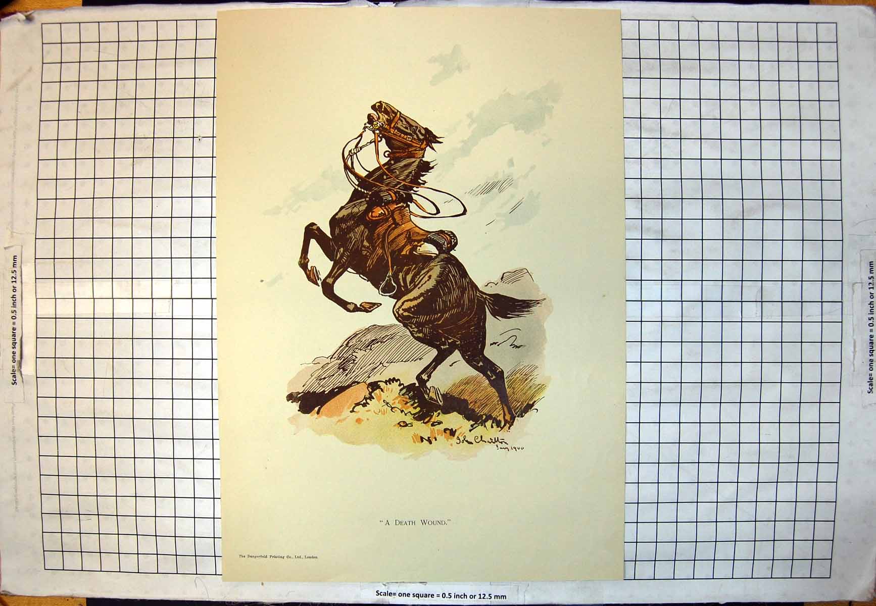 Original Old Antique Print Death Wound John Charlton 1900 Horse Rearing Air