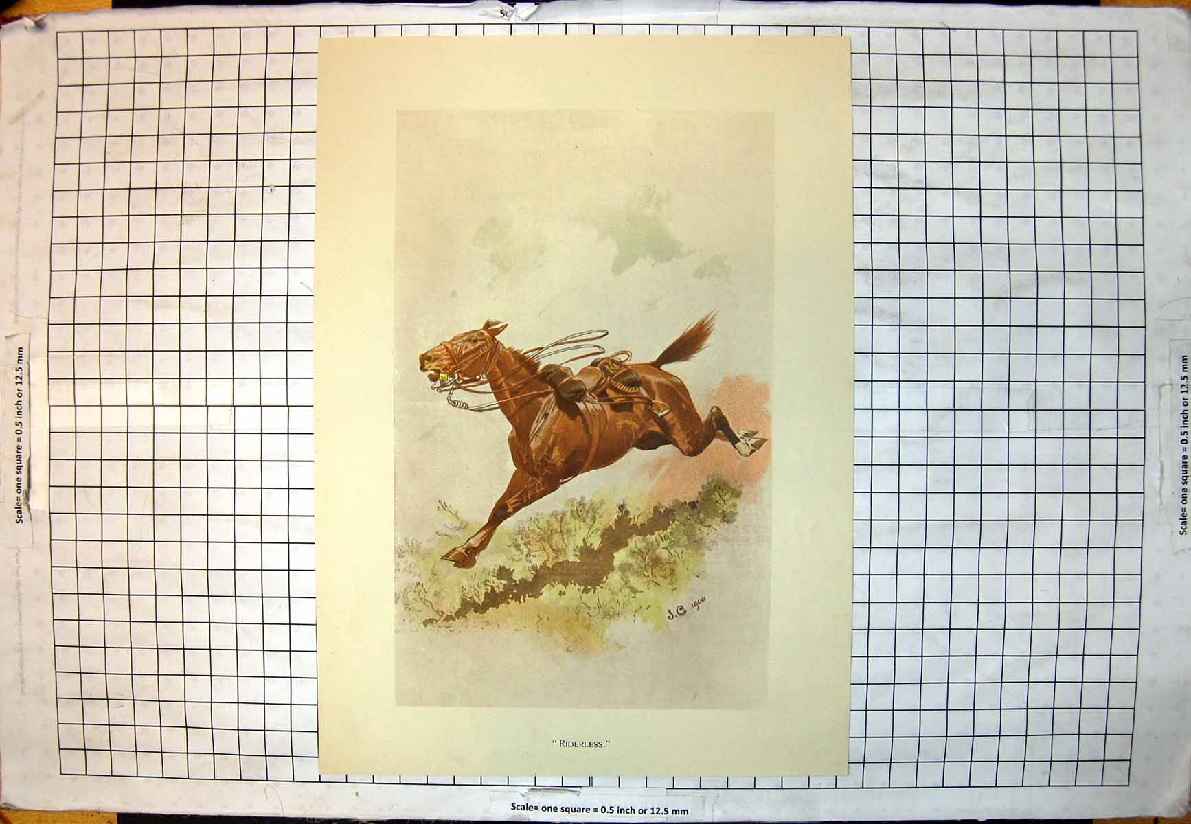 Old Print Riderless J Charlton 1900 Horse Galloping Saddle Reins No Rider 20th
