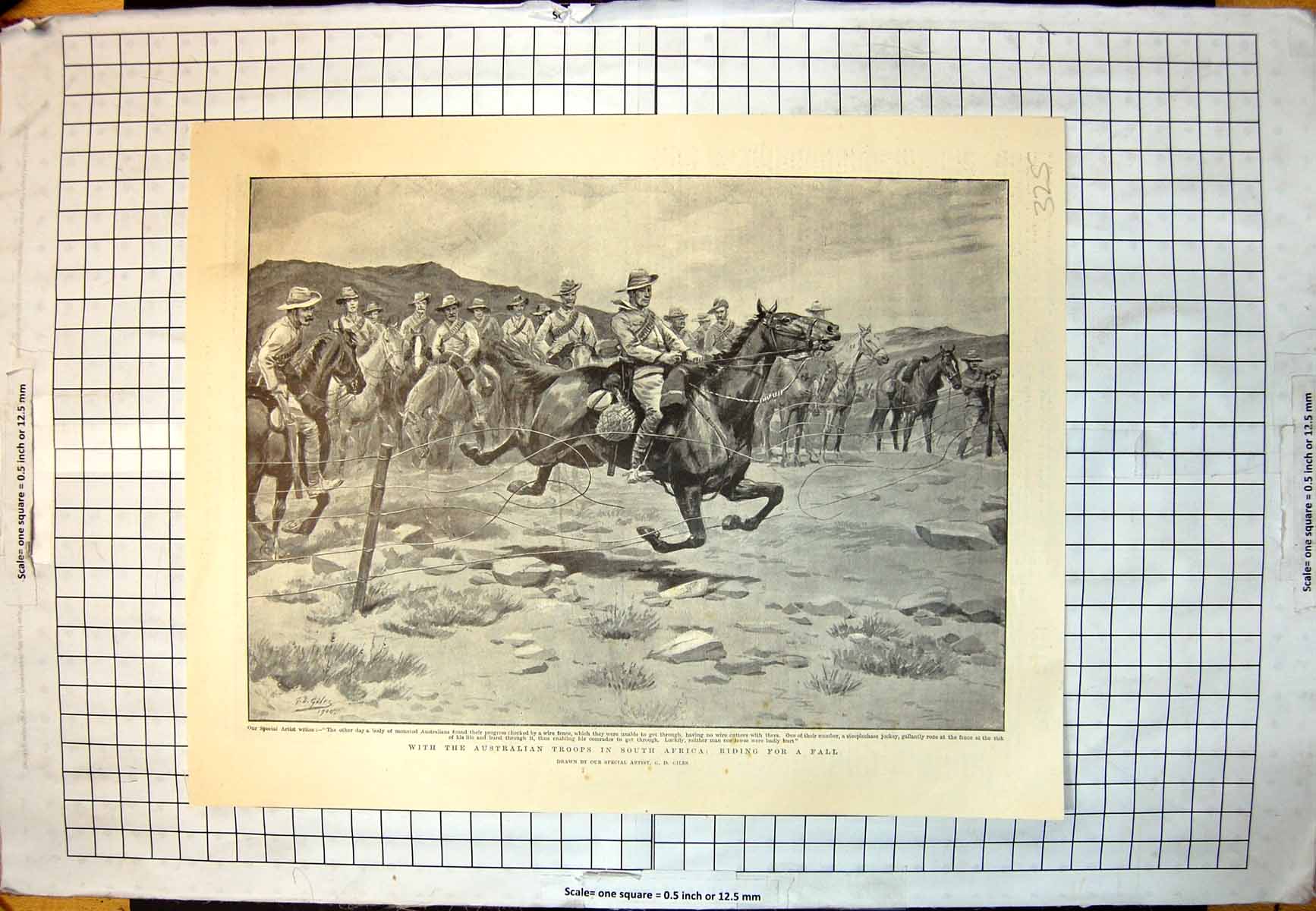 Old Australian Troops South Africa Funeral King Italy Iron Crown 1900 Victorian