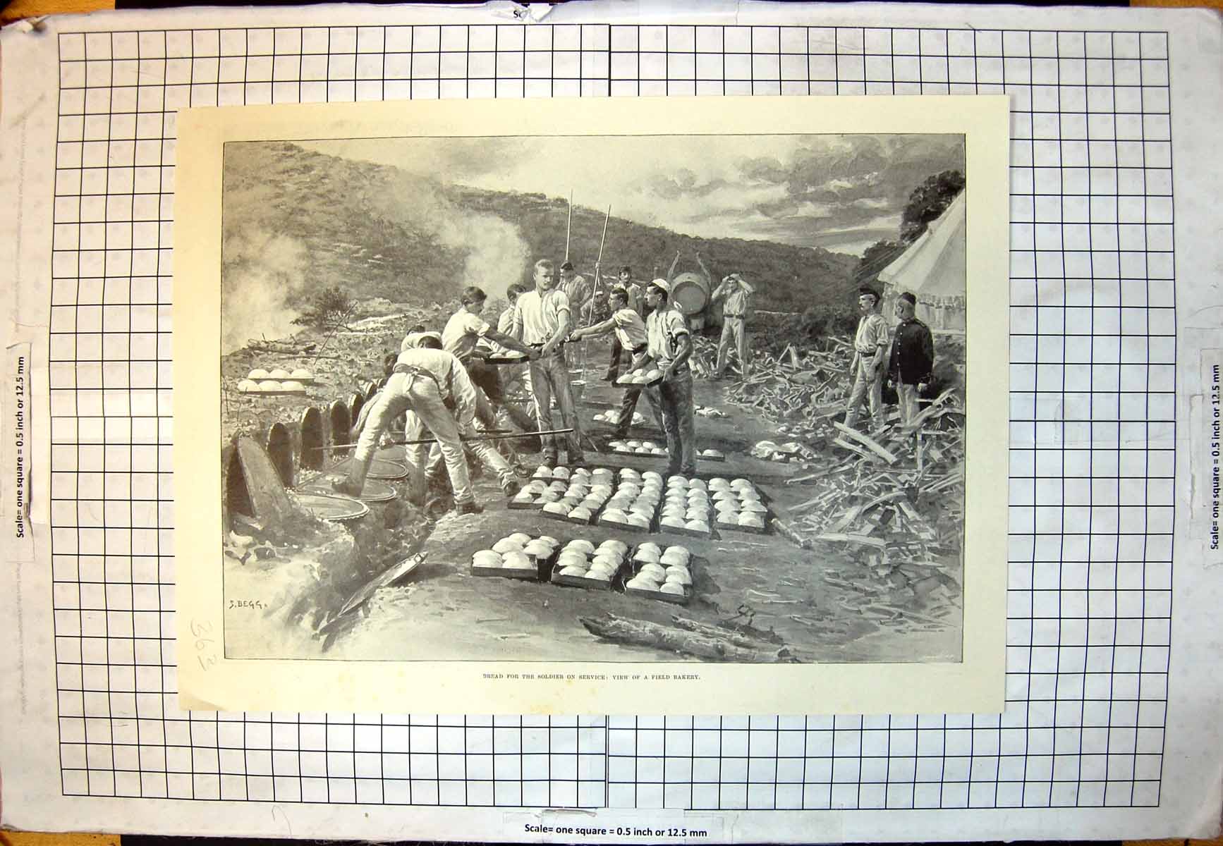Old Bread Field Bakery Horses Cape Inspection Aldershot Water Horses