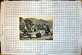Old Print Military Riflemen Resting African Hut Horses Grazing Grass 1879 19th