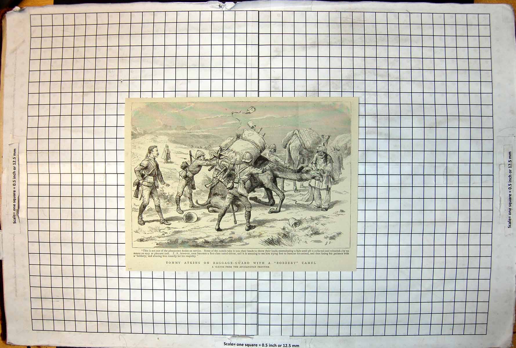 Old Print Tommy Atkins Baggage Guard With Bobbery Camel Afghanistan 1893 19th