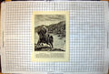 Old Print Zululand Saving Comrade Crossing River Horseback Berkeley 1899 19th