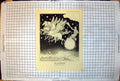 Old Print The Light-Bringer Mr Morrison Drives The Sun Punch Cartoon 1941 20th
