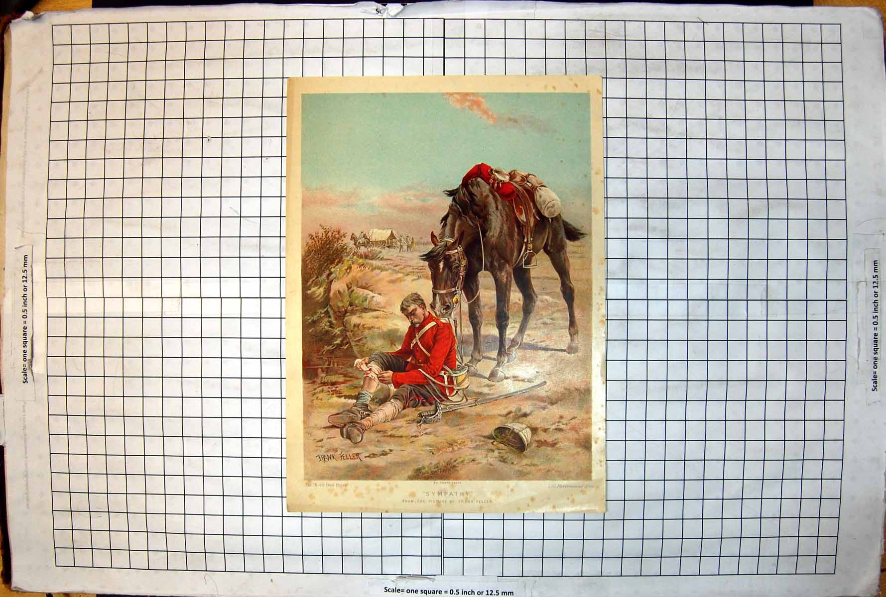 Old Print Sympathy Horse Nuzzzles Back Injured Fallen Sier F Feller 1897 19th