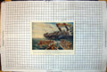 Antique Old Print Sinking Southland Carrying Troops To Dardenelles Lifeboats