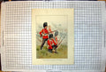 Old Gd Giles The 87Th Princess Victoria'S Royal Irish Fusiliers Colour