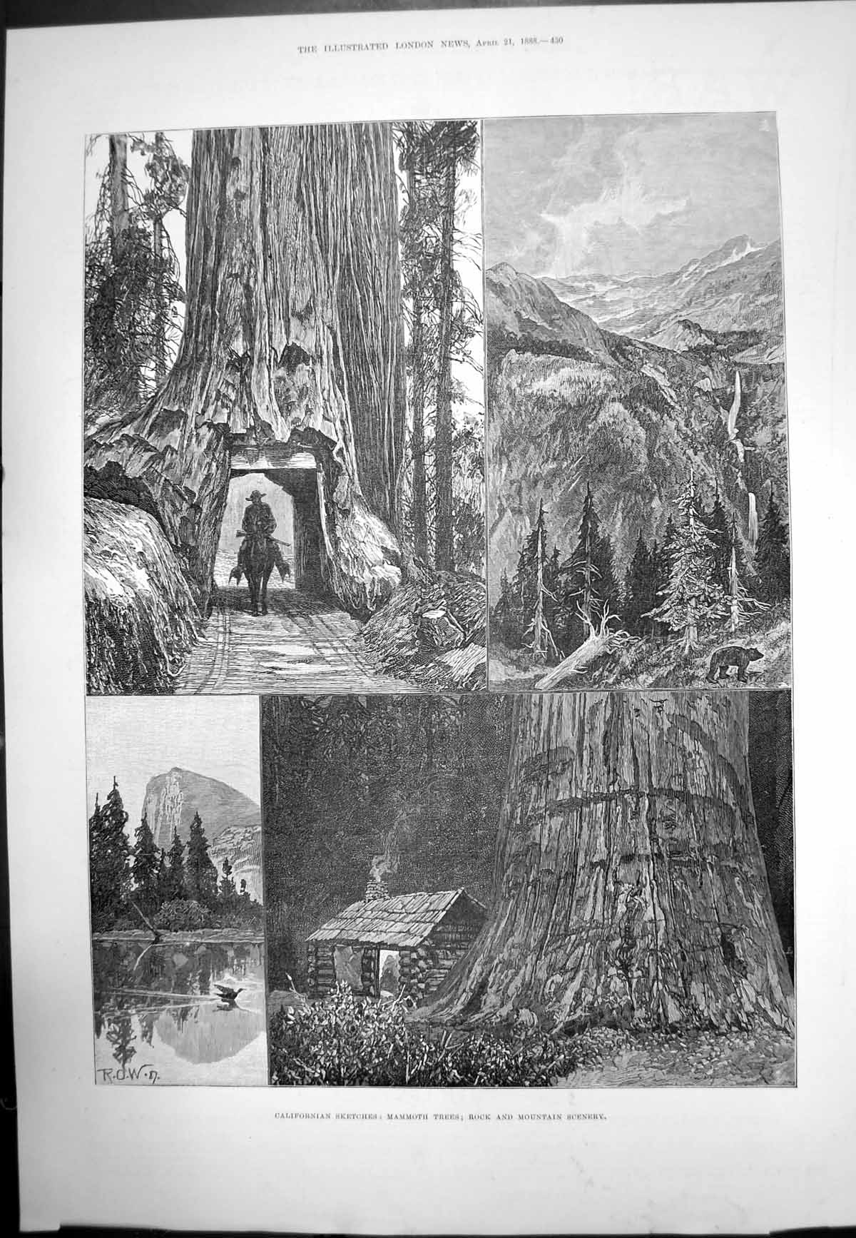 Old Antique Print Californian Sketches Mammoth Trees Rock Mountain 1888 19th