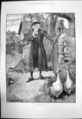 Antique Old Print Michaelmas Vision I Walter Wilson GentlemanDucks 1891