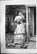 Original Old Antique Print First Favourite Lady Feeding Pigeons Hing One 1893