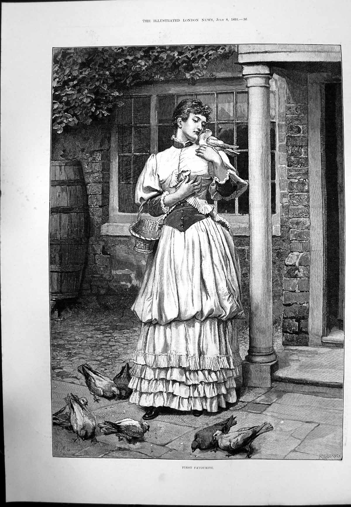 Original Old Antique Print First Favourite Lady Feeding Pigeons Hing One 1893