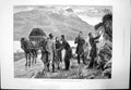 Antique Old Print State Ireland Posting Government Proclomation Connemara1881