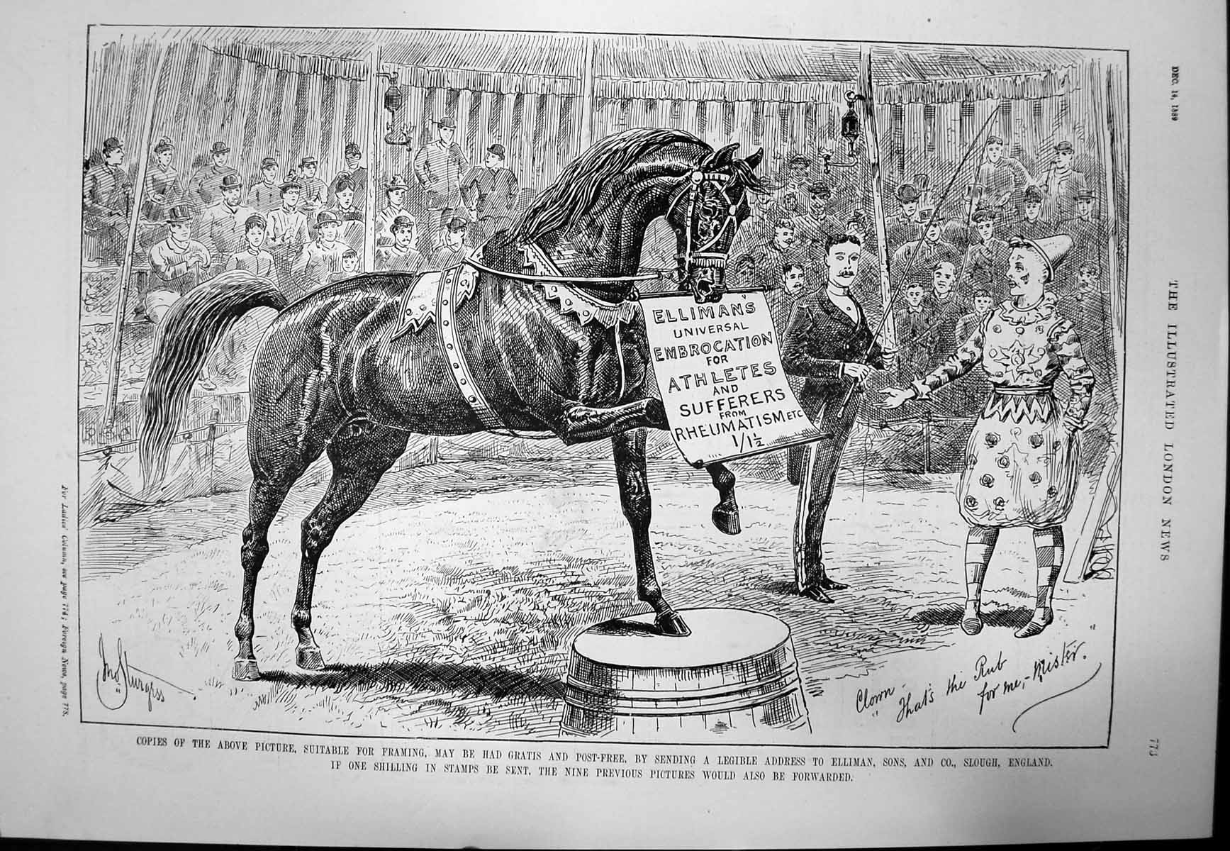 Antique Old Print Ellimans Embrocation Advert Horse Circus Advert Mouth 1880