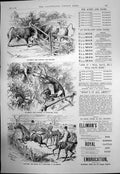 Antique Print Ellimans Embrocation Knocks Bruises Strains Dogs Horses 1891 19th