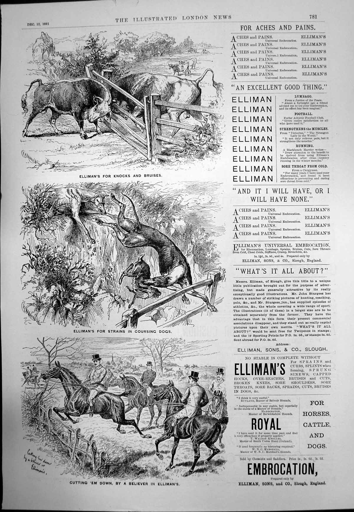 Antique Print Ellimans Embrocation Knocks Bruises Strains Dogs Horses 1891 19th