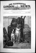 Antique Old Print Strangers & Pilgrims Two Dogs Sitting Cases Baskets 1879 19th