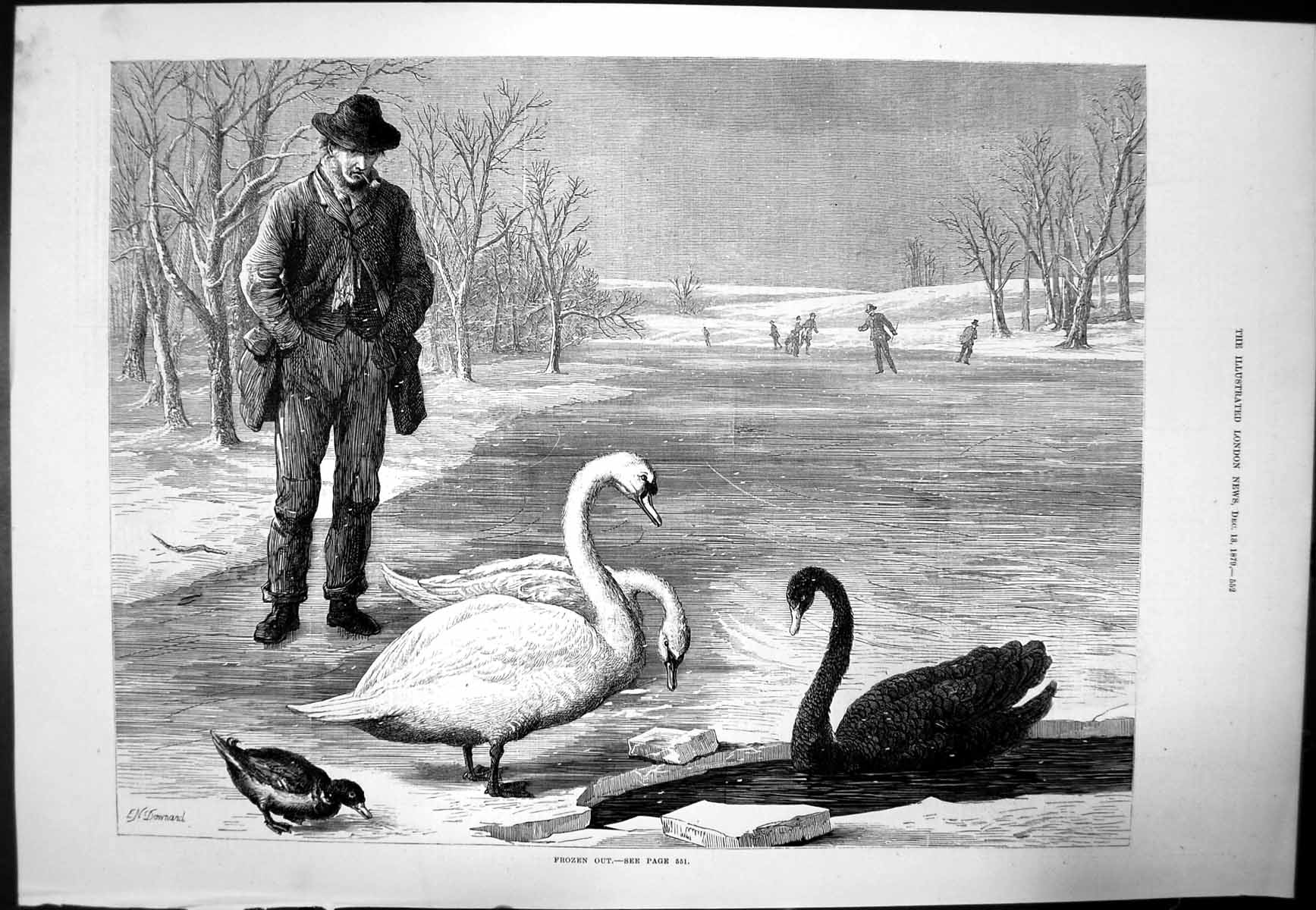 Original Old Antique Print Frozen Out En Downard Swans Duck On Frozen Lake 1879
