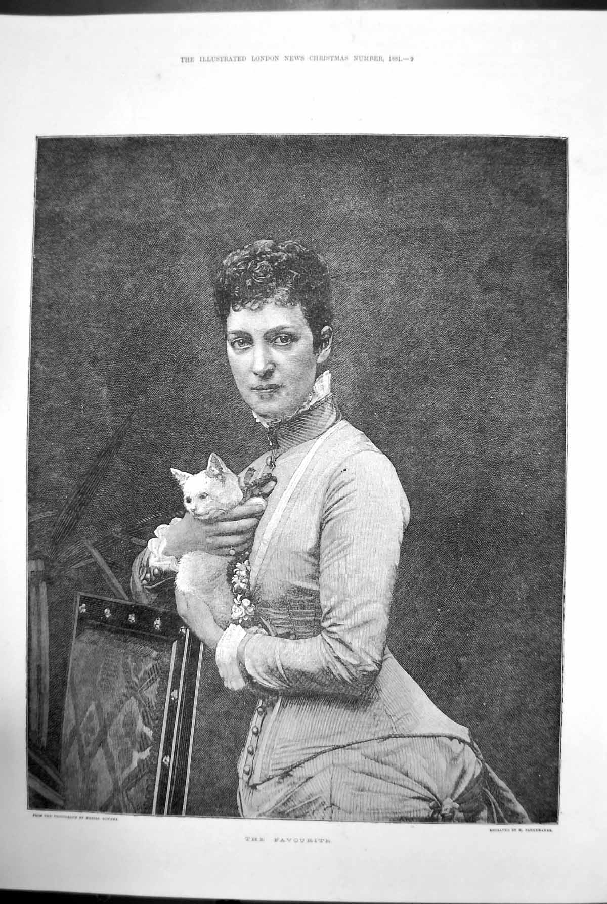 Antique Old Print The Favourite Downey Woman Kitten Cat Chair Pannemaker 1881