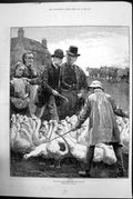 Antique Old Print The Goose Club Committee Geese Cattle Farmer Emslie 1881 19th