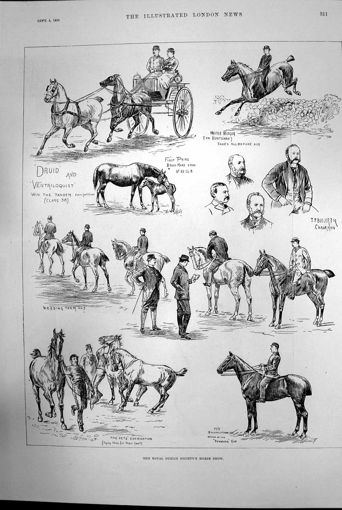 Old Print The Royal Dublin Societys Horse Show Beashelstown Pembroke 1891 19th