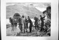 Antique Print State Ireland Posting Government Proclamation Connemara 1881 19th
