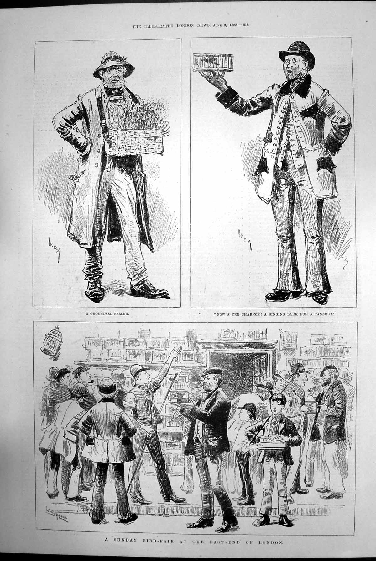 Antique Print Sunday Bird-Fair At The East-End London 1888 Groundsel Seller
